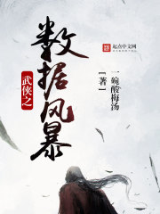 武侠之数据风暴武侠之数据风暴