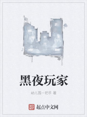 黑夜玩家黑夜玩家